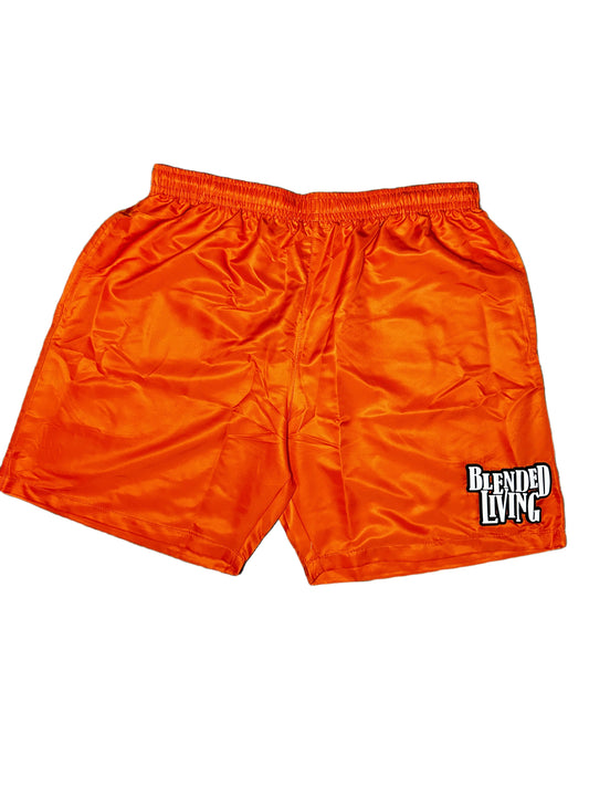 Nylon Patchwork Shorts (Orange)